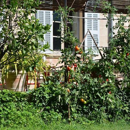 Les Passiflores Grasse Eksteriør bilde