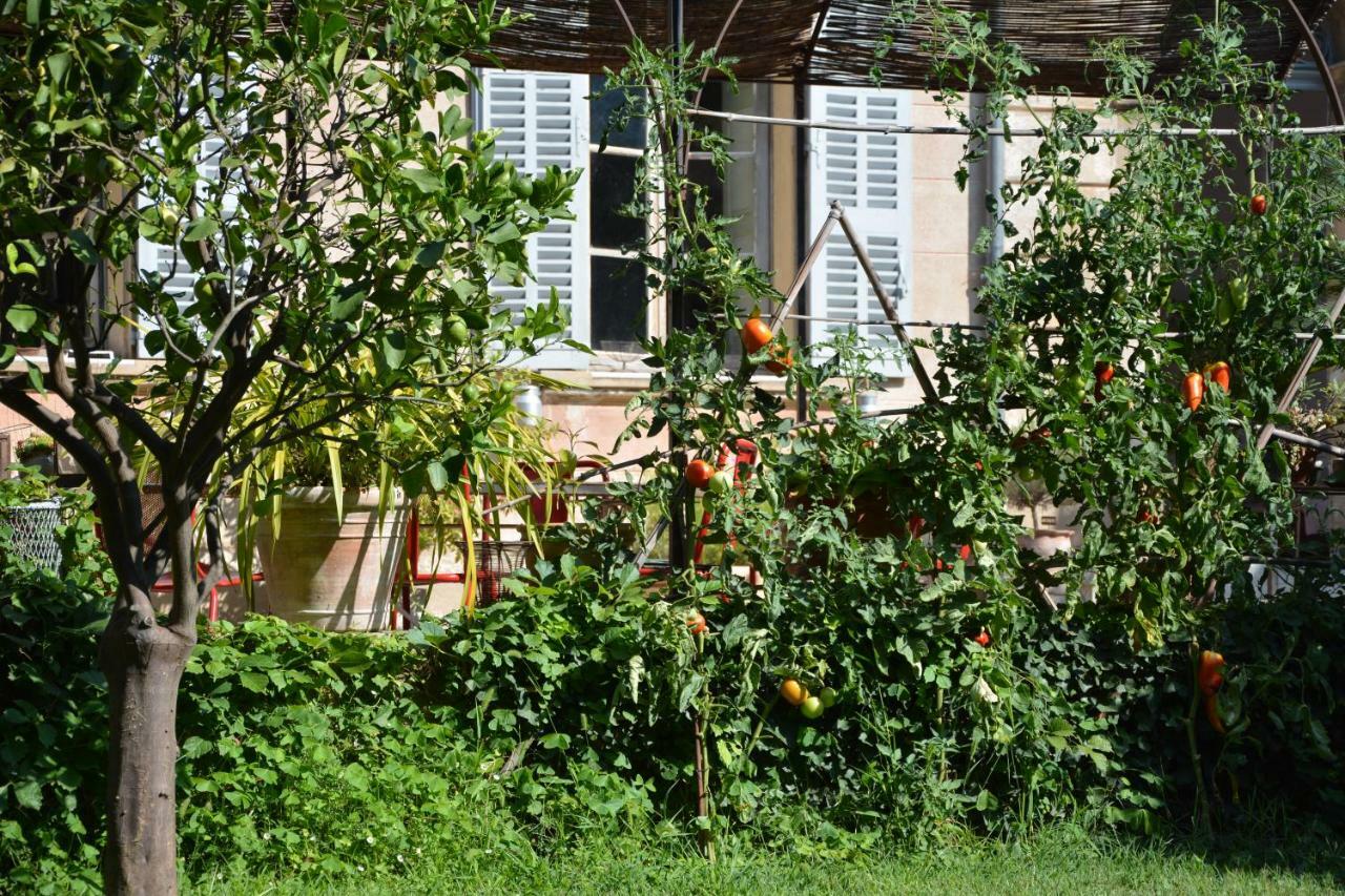 Les Passiflores Grasse Eksteriør bilde